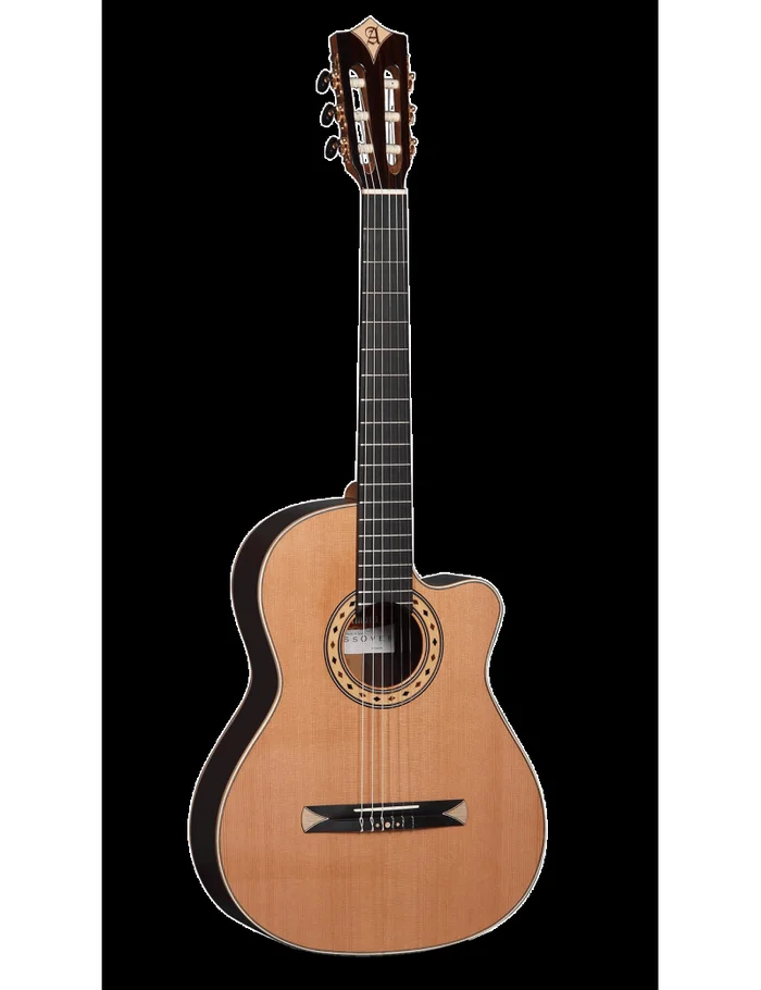 Alhambra CS-3 CW E8 + housse luxe
