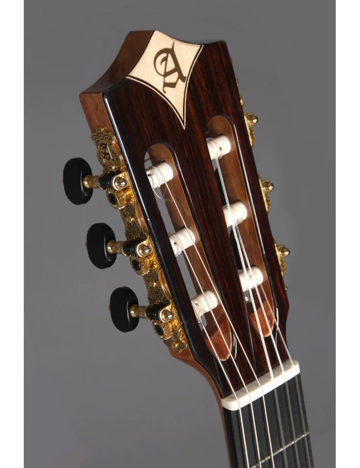 Alhambra CS-3 CW E8 + housse luxe – Image 4