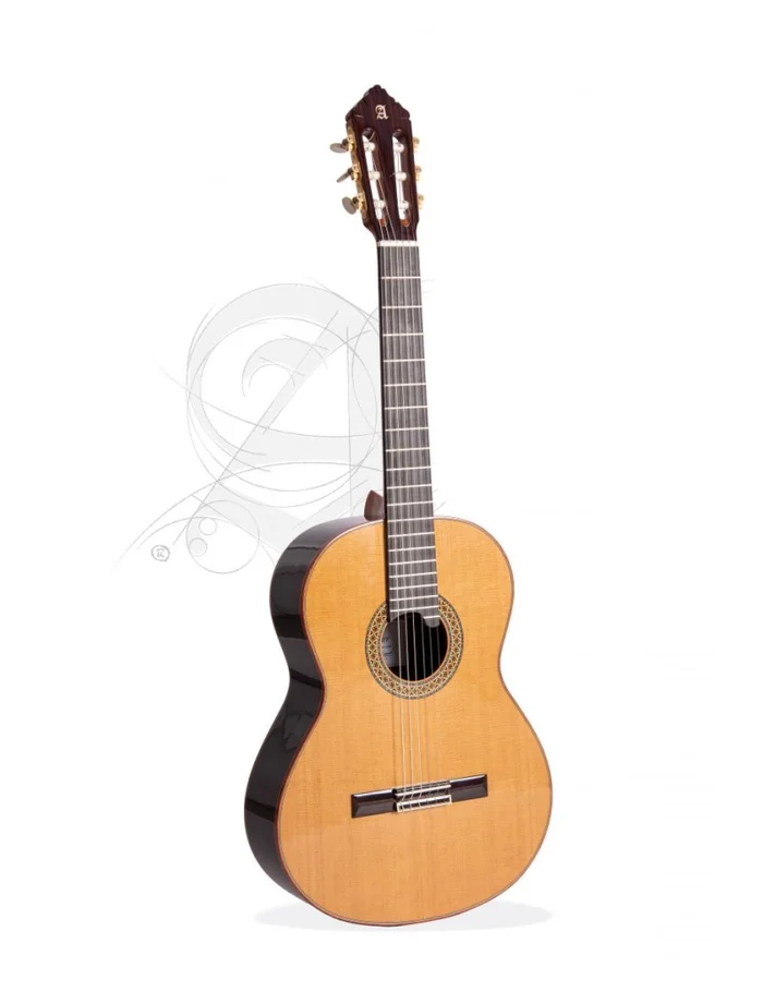 Alhambra Premier Pro Madagascar + étui