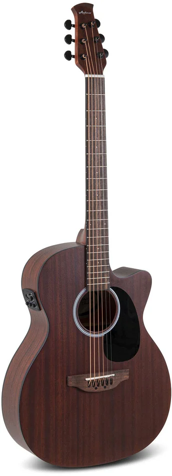 APPLAUSE AEO96-M Orchestra Wood Classics Naturel Mat