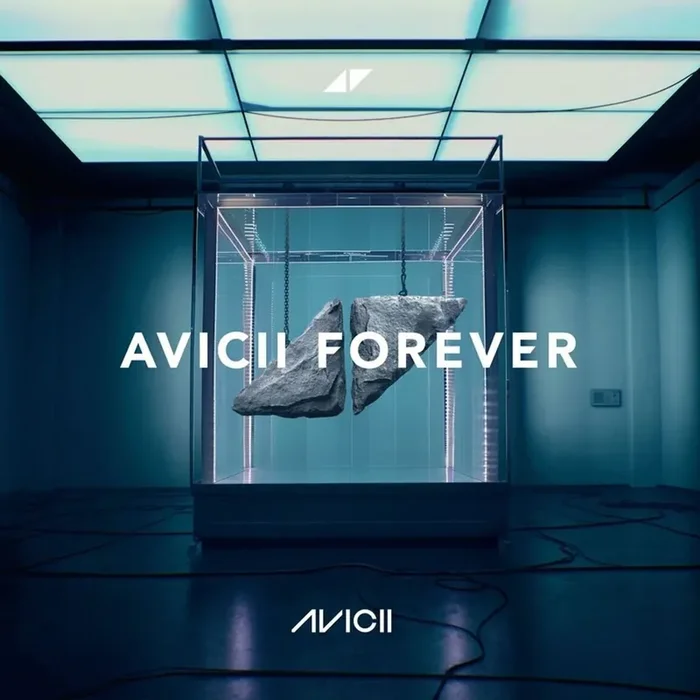 Avicii – Avicii Forever (CD)
