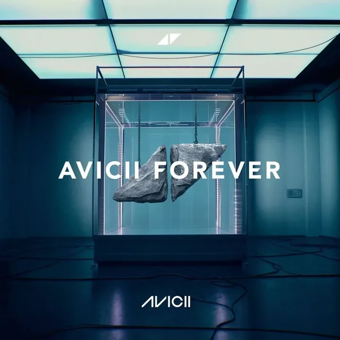 Avicii – Forever (2 LP)