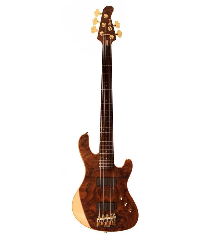 BASSE Electrique 5 Cordes CORT RITHIMIC JEFF BERLIN 5C NAT