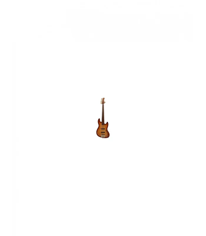 Basse Electrique 5 Cordes FretLess M. Miller V10 DX SWAMP ASH-5 FL TS MN + ÉTUI – Image 4