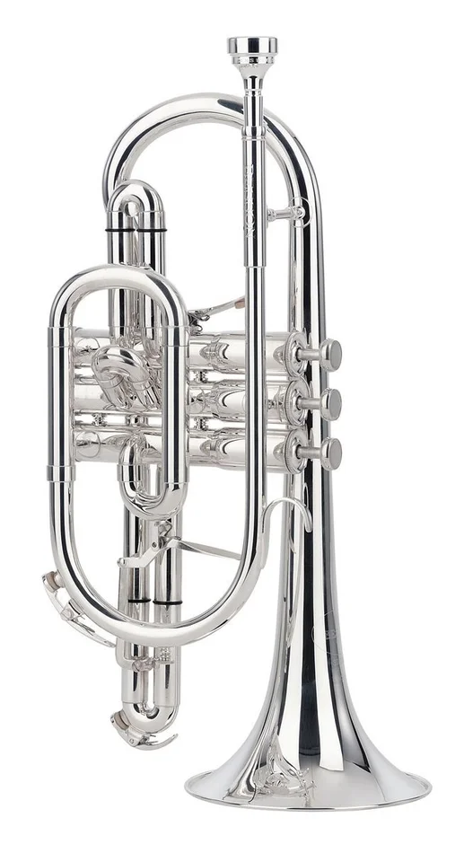 BESSON Sovereign Sib Argenté – BE928G-2-0