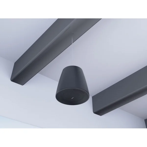 Bose Professional DesignMax DM10P-SUB (Noir) – Image 3