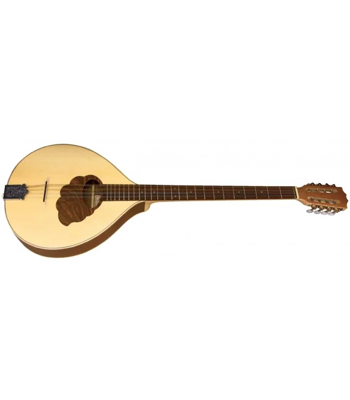Bouzouki irlandais VGS Pro Natura Silver