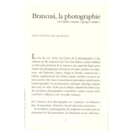 BRANCUSI, LA PHOTOGRAPHIE OU L&rsquo;ATELIER COMME  » GROUPE MOBILE « 