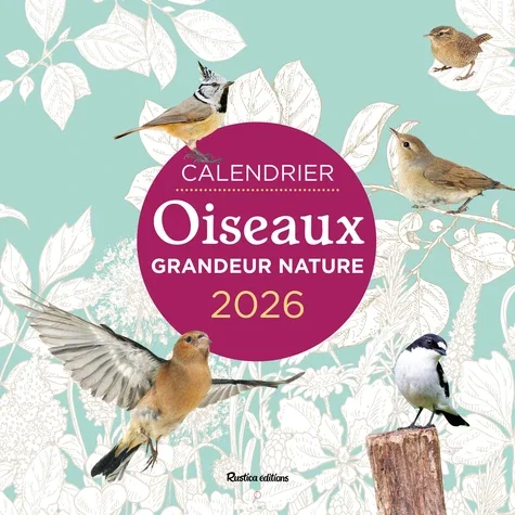 Calendrier Oiseaux grandeur nature Edition 2026