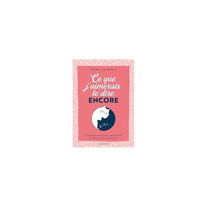 Ce que j&rsquo;aimerais te dire encore