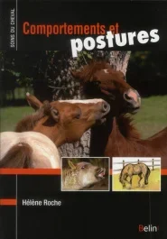 Comportements et postures