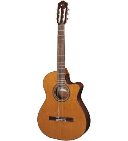 Cuenca 30 CTW Cutaway Cedre