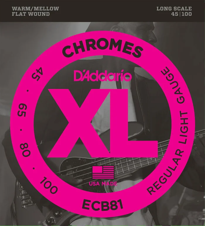 D’ADDARIO AND CO ECB81 Chromes Flatwound Long Scale Regular Light 45-100