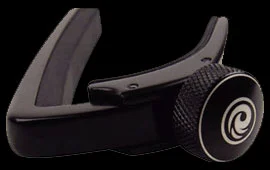 D’ADDARIO AND CO NS Capo Black