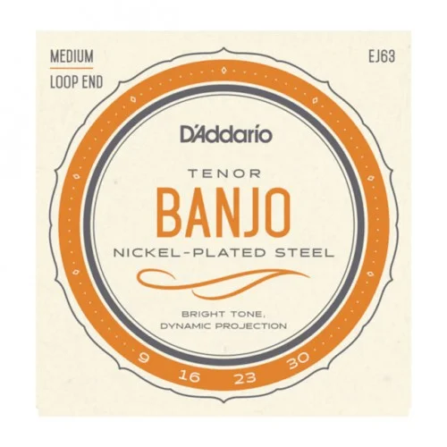 D’ADDARIO EJ63 BANJO TENOR NICKEL-PLATED STEEL 9/30