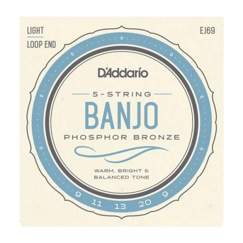 D’ADDARIO EJ69 BANJO 5ST PHOSPHOR BRONZE 9/20
