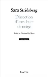 Dissection d&rsquo;une chute de neige