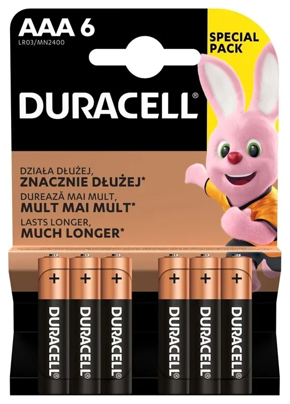 Duracell Basic 6 AAA Pile