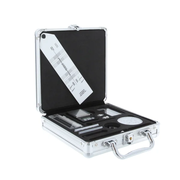 Enova Hifi PRV 100