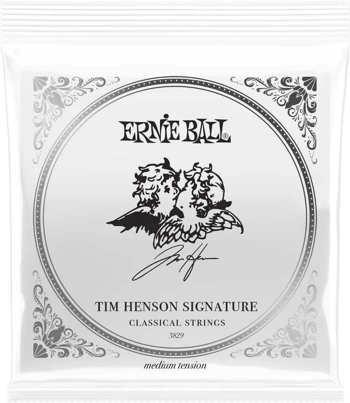 Ernie Ball TIM HENSON – TENSION MEDIUM