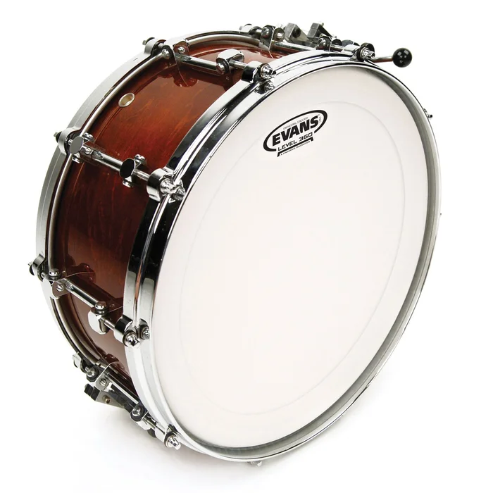 EVANS B14GCSS – Peau Concert Staccato 14