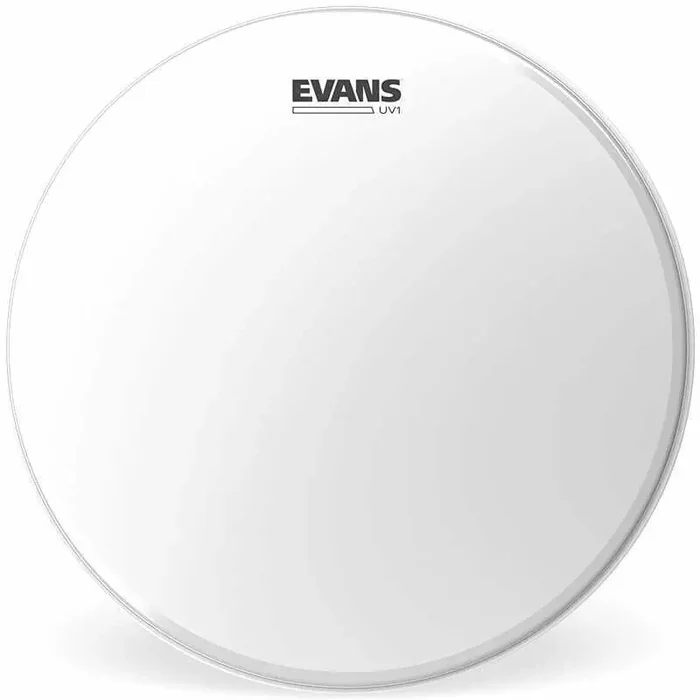 Evans B16UV1 UV1 Coated 16″ Peaux de frappe