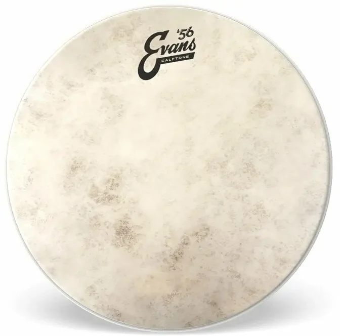 Evans TT13C7 Calftone 13″ Peaux de frappe