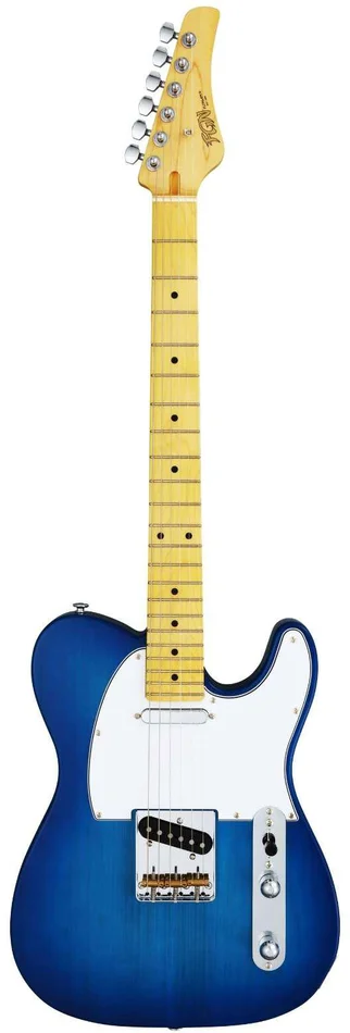 FGN GUITARS Boundary BTL-M Transparent Blue Sunburst