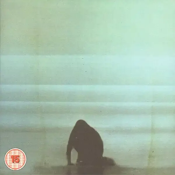 Foals – What Went Down (CD + DVD)