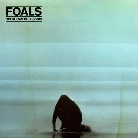 Foals – What Went Down (LP)