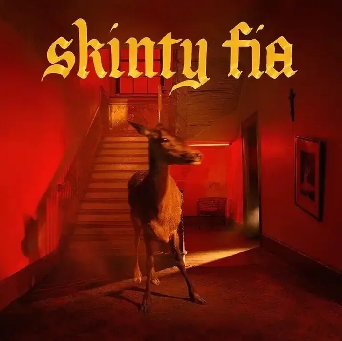 Fontaines D.C. – Skinty Fia (LP)