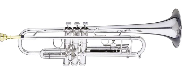 Getzen Capri 590S-S Laiton Argenté