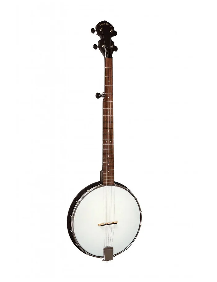 Gold Tone AC-1 banjo 5 string openback + housse