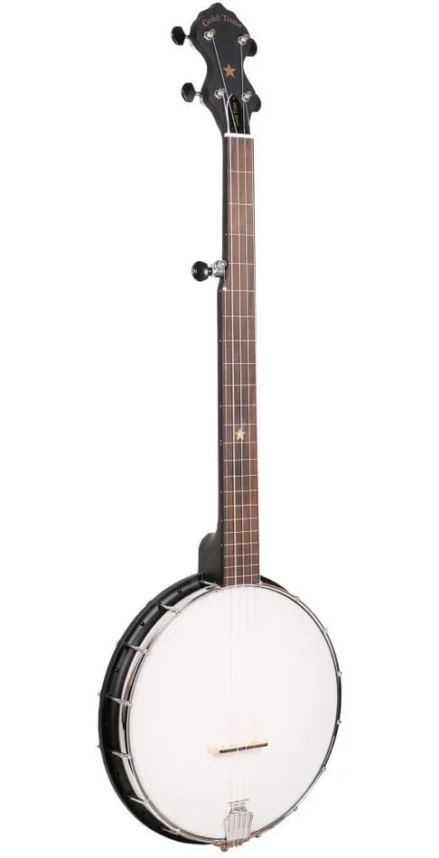 GOLD TONE Banjo 5 Open Back Nylgut Fretless