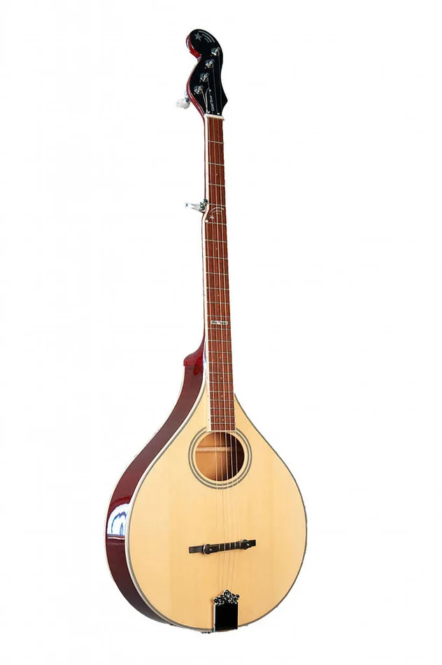 GOLD TONE Banjola 5 Type A