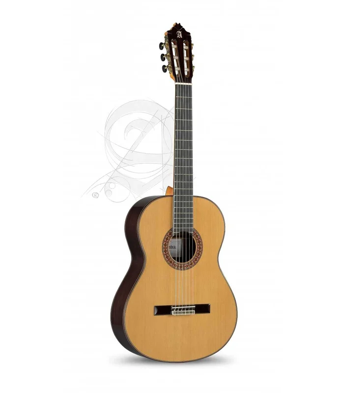 Guitare Classique Alhambra 8P + Etui