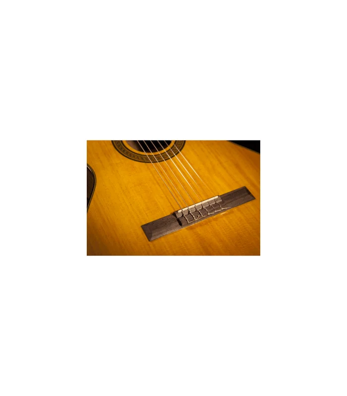 Guitare Classique Takamine GC3NAT 4/4 – Image 4