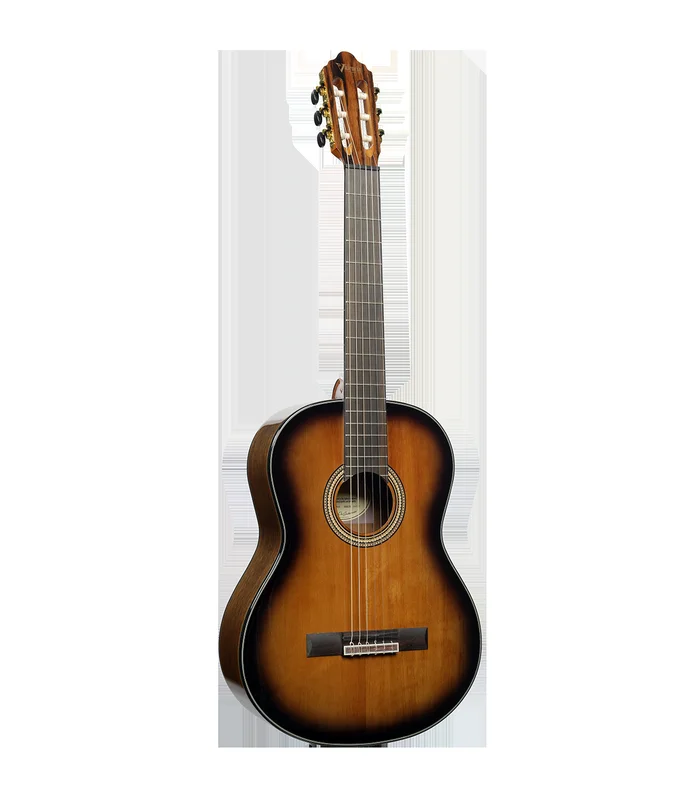 Guitare Classique VALENCIA VC564-BSB 4/4 dégradé – Image 2