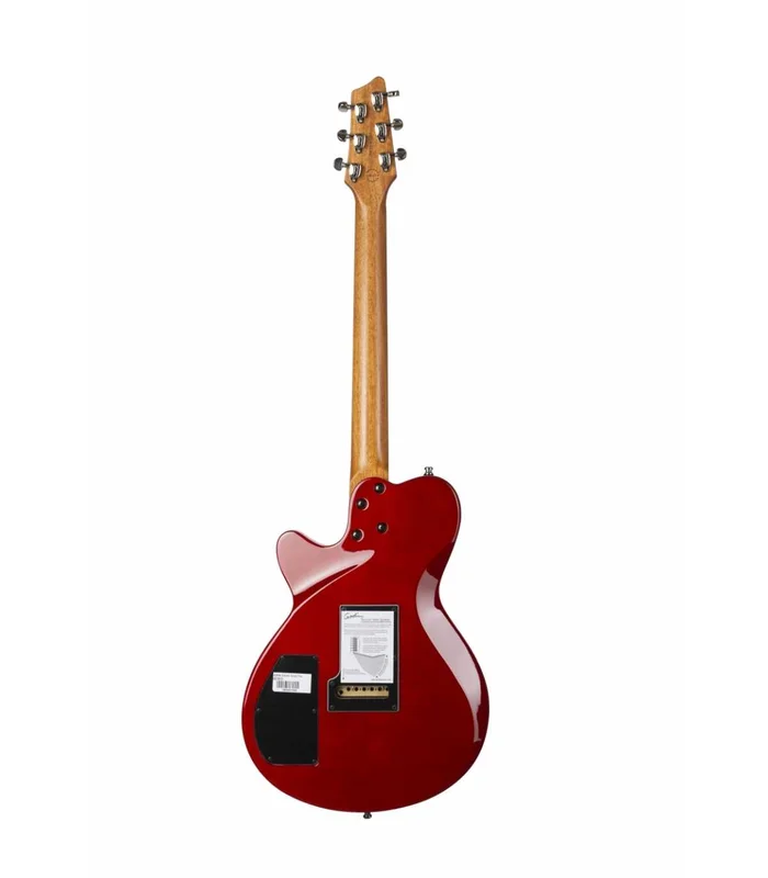 Guitare Electrique Godin DS-1 DARYL STUERMER SIGNATURE – Image 2