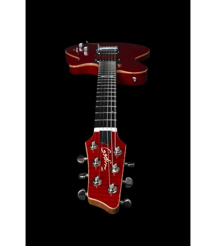 Guitare Electrique Godin DS-1 DARYL STUERMER SIGNATURE – Image 3