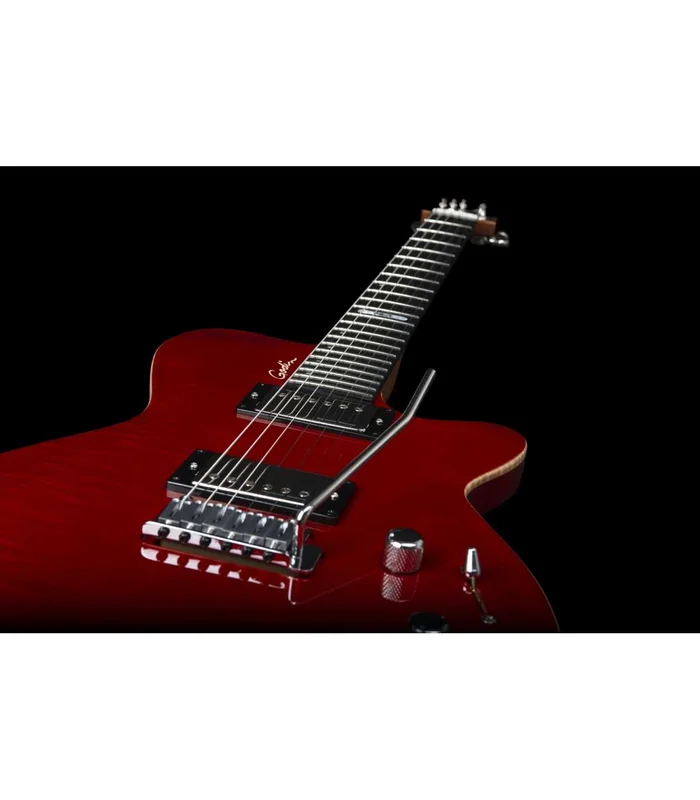 Guitare Electrique Godin DS-1 DARYL STUERMER SIGNATURE – Image 4