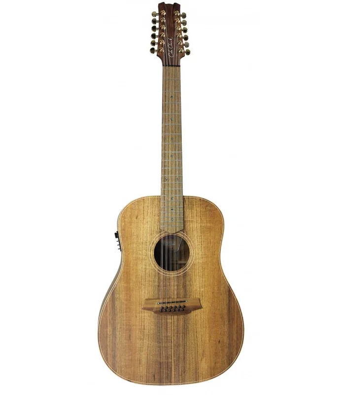 Guitare Folk Electro 12 CORDES COLE CLARK FL2A3 ETUI