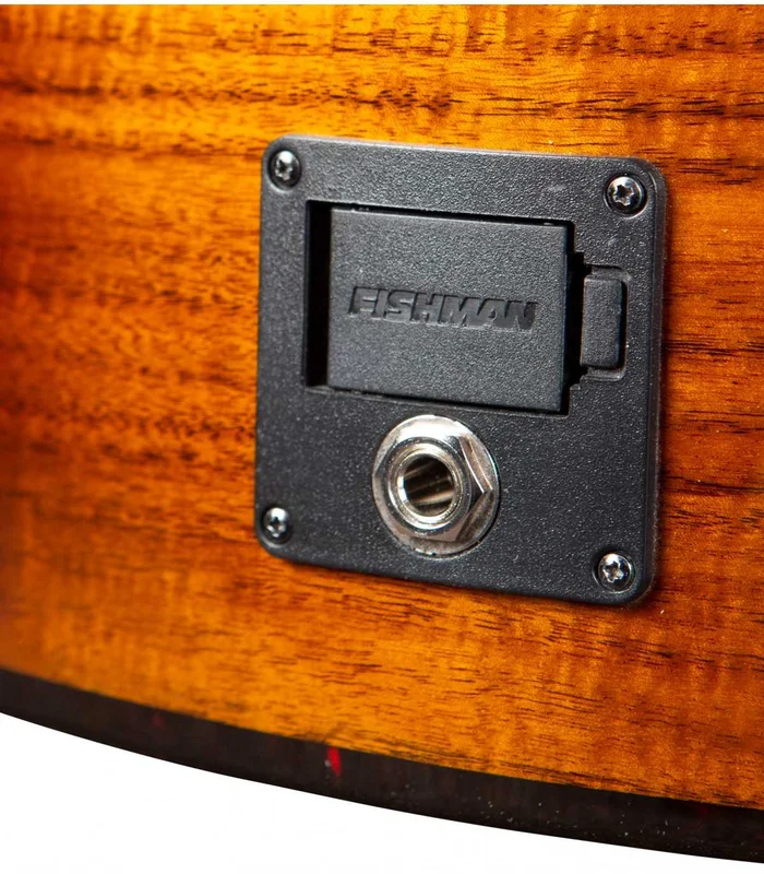 Guitare Folk Electro BREEDLOVE PURSUIT EX S CONCERT CE KOA – Image 3