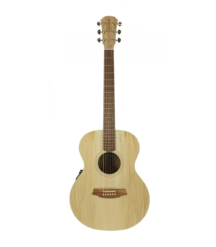 Guitare Folk Electro COLE CLARK AN1E SOFT CASE