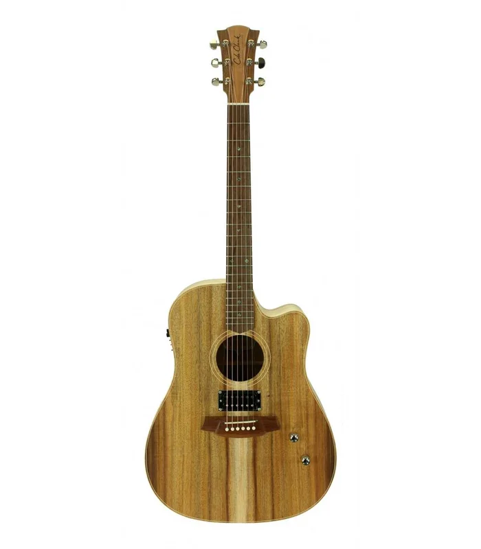 Guitare Folk Electro COLE CLARK FL2EC HUM, ETUI