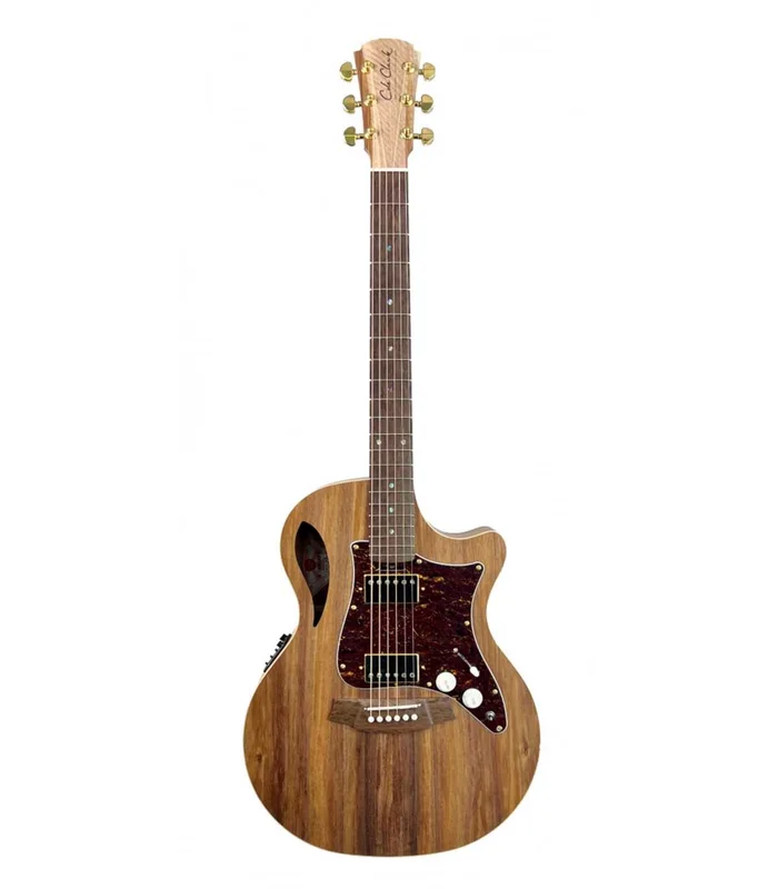 Guitare Folk Electro COLE CLARK TL2EC-BLBL-HH ETUI