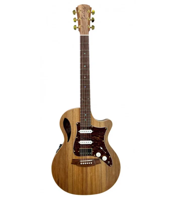 Guitare Folk Electro COLE CLARK TL2EC-BLBL-HSS ETUI