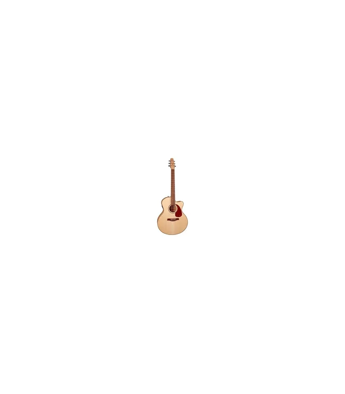 Guitare Folk Electro SEAGULL Performer MJ CW Flame Maple Presys II
