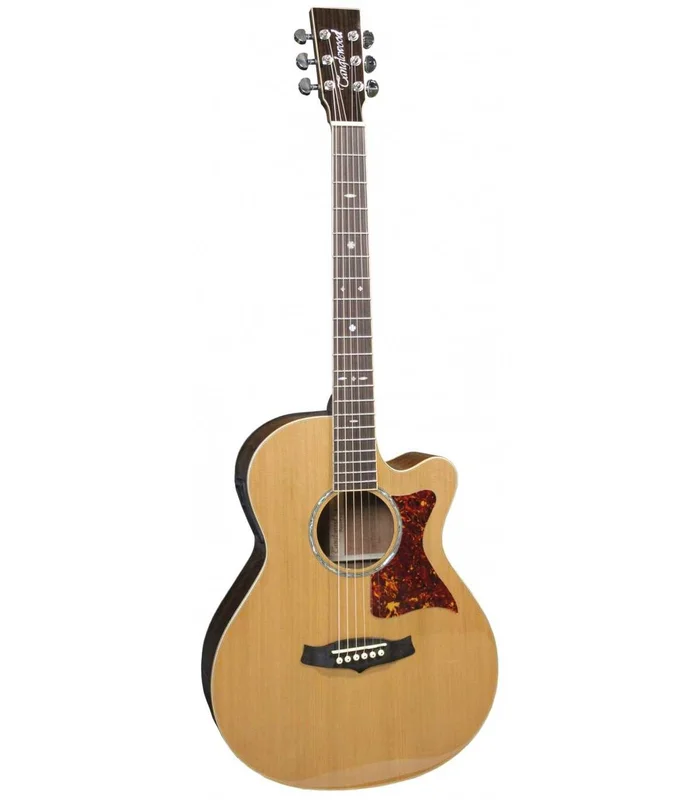 Guitare Folk Electro Tanglewood Sundance TW45RE LN + Etui