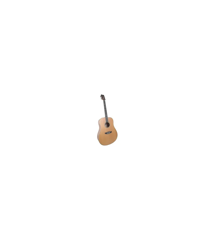 Guitare Folk Tanglewood Reunion Pro TRU5 HR